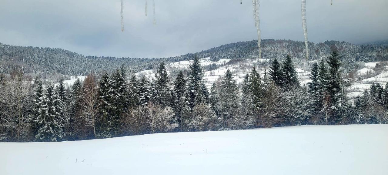 Domki Na Widoku Lubomierz  Dış mekan fotoğraf